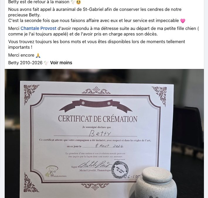 Betty – certificat de crémation et urne commémorative, 2010–2026