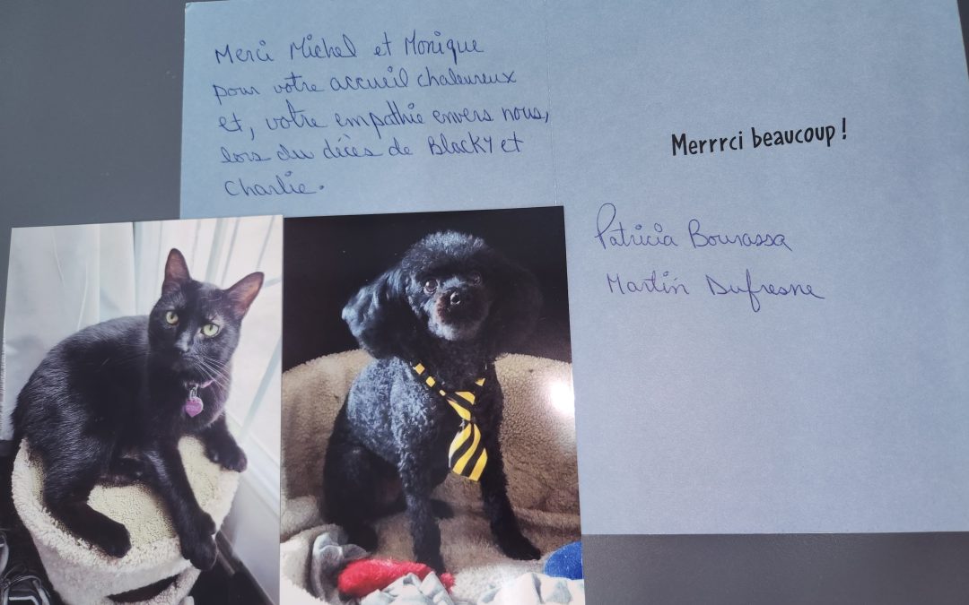 Blacky et Charlie – chat noir et chien noir